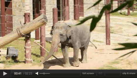 Screen Shot 2016-07-01 at 8.41.37 PM